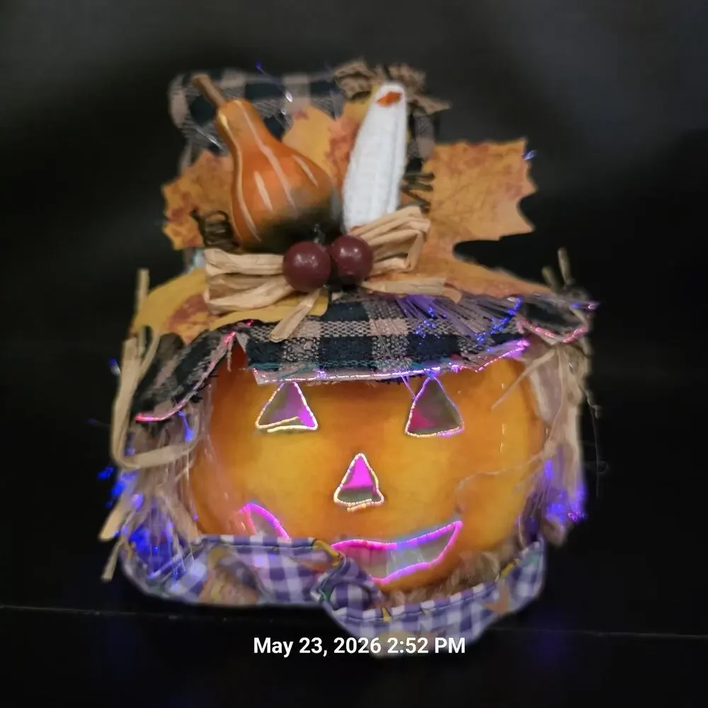 3pc Fiber Optic Halloween Pumpkin Black Cat 8